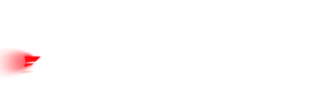 Platinum CTS chauffeured transportation service logo